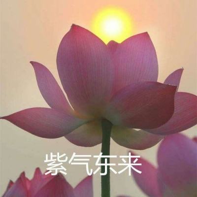 天天挂江湖手游(暂未上线)v2.0 安卓版